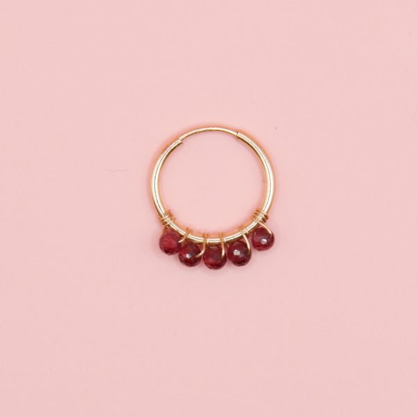 mini hoop berry