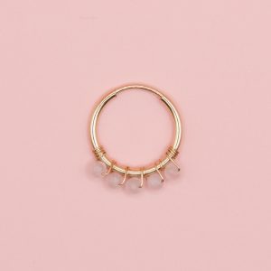 mini hoop rose